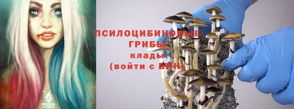 СК Алексеевка