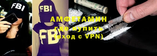 сатива Аркадак