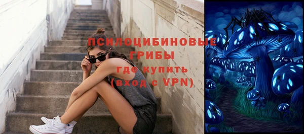 apvp Арсеньев