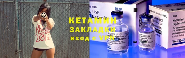 сатива Аркадак