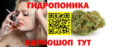 прущие крисы Обь