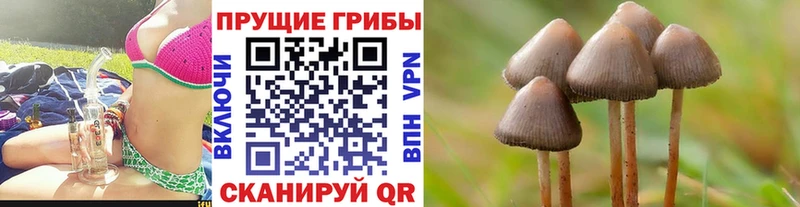 Галлюциногенные грибы Cubensis  Краснотурьинск 