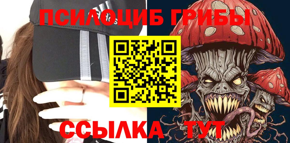 Галлюциногенные грибы Psilocybe  Вход с VPN  купить  цена  Краснотурьинск 